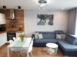 una sala de estar con un sofá azul y una foto de lobo en Apartamenty pod Dzikowcem, en Boguszów-Gorce