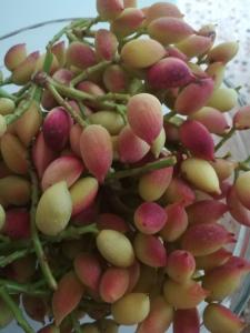 a bunch of grapes in a glass bowl at Eri Studios in Agia Marina Aegina