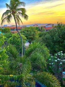 un gruppo di palme e fiori in un parco di Wind Villa Cumbuco - Apartamento a Cumbuco Altre 24 foto