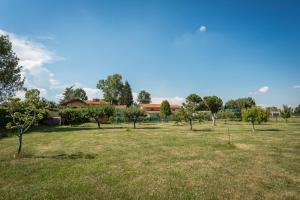 a park with trees and a building in the background at Cascina Tetto del Priore in Cuneo