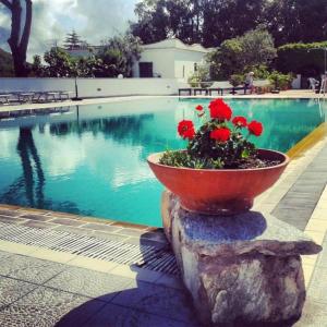 una pentola di fiori rossi seduta accanto alla piscina di Hotel Al Bosco a Ischia