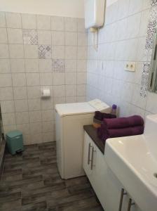 Koupelna v ubytování Aqua Apartmanok