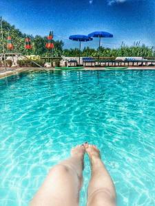 Basen w obiekcie Hotel Al Bosco lub w pobliżu