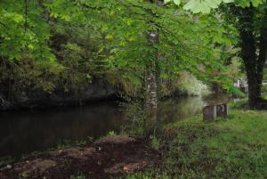 a river with a tree in the middle of it at moulin de rouchillou in Saint-Martial-de-Valette