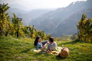 Gallery image of Weingut Schauer in Kitzeck im Sausal