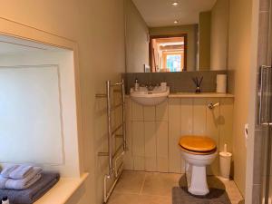 uma casa de banho com um WC e um lavatório em Demesne Farm Guesthouse em Monmouth