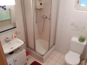 y baño con ducha, aseo y lavamanos. en Big flat in the heart of Valais, en Martigny-Combe