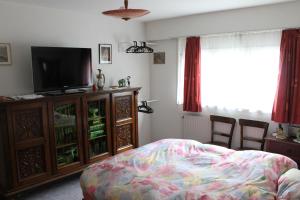 1 dormitorio con 1 cama y TV de pantalla plana en Big flat in the heart of Valais, en Martigny-Combe