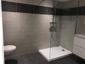 a bathroom with a shower and a toilet at Corté Centre Corse in Corte
