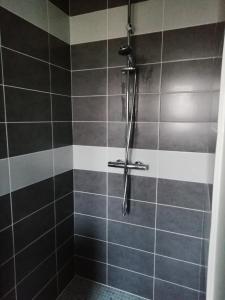 a shower with black and white tiles in a bathroom at Le Merle Blanc Louchats in Louchats