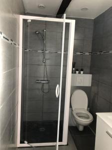La salle de bains est pourvue d'une douche et de toilettes. dans l'établissement Le Studio de Lucie, à Villeurbanne
