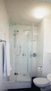a bathroom with a shower and a toilet at FREE Apartment - Bei der Markthalle in Reutlingen