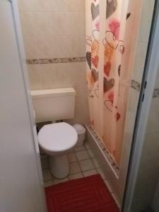 a small bathroom with a toilet and a shower at La casa de Aya in Ciudad Lujan de Cuyo