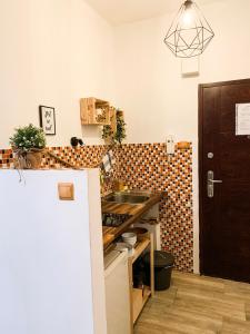 A kitchen or kitchenette at Beautiful Place in Slovakia Bratislava Old Town Center with AC