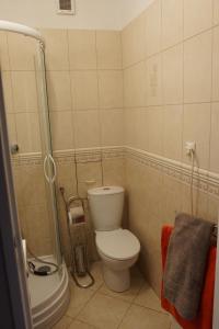 a small bathroom with a toilet and a shower at Morski Apartament in Ustka