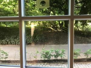 ein Fenster mit Blick auf den Garten, durch den Sie hindurchsehen können in der Unterkunft 9 Old Dalmore Gardens in Auchendinny