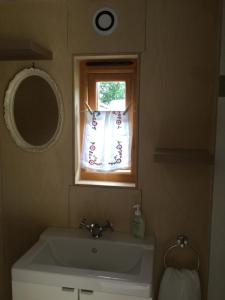 La salle de bains est pourvue d'un lavabo et d'une fenêtre. dans l'établissement Tiny Home cabin Eilidh, à Cowes