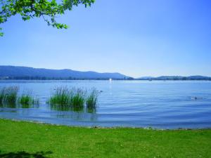 Galeriebild der Unterkunft Apartment City in Radolfzell am Bodensee