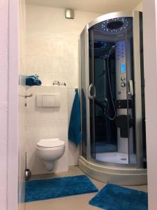 a bathroom with a toilet and a shower with blue rugs at International in Bad Harzburg