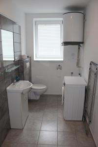 a bathroom with a sink and a toilet and a window at Statek u Křížů in Staré Sedliště