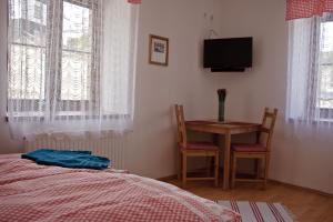 a bedroom with a bed and a table and a tv at Penzion u Vodopádu in Karlova Studánka