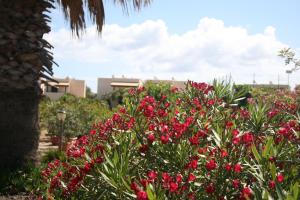 Fotografie z fotogalerie ubytování Residence Punta Longa v destinaci Favignana