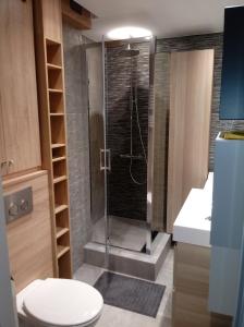 W łazience znajduje się prysznic, toaleta i umywalka. w obiekcie Bruxapart w mieście Lublin