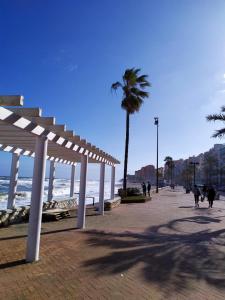 plaża z palmą i ludzie chodzący po chodniku w obiekcie APTO EDU 3MIN DE LA PLAYA w mieście Fuengirola