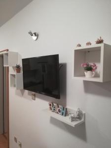 Televízia a/alebo spoločenská miestnosť v ubytovaní Apartman LOZA