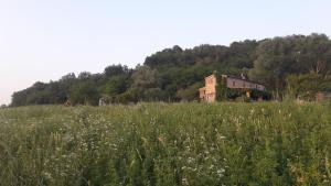 Príroda v okolí of the bed and breakfast
