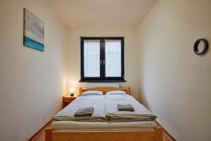 科希策Holiday houses BARCA的一间带床的卧室，位于一间有窗户的房间里