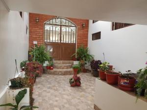 Zahrada ubytování Hotel Kampak Wasi