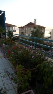 Zahrada ubytování Delphin Apart Hotel