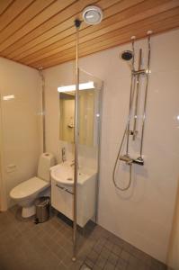 a bathroom with a shower and a toilet and a sink at Hotel Lost In Ylläs in Äkäslompolo +29 photos