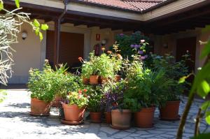 Fotografie z fotogalerie ubytování Hotel Arenas de Cabrales- apartamentos v destinaci Arenas de Cabrales