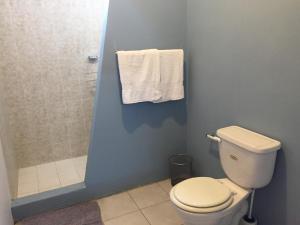 a bathroom with a toilet and a shower with towels at Casa 10 Guest house in Guatemala