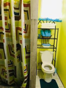 a bathroom with a toilet and a shower curtain at Bougainvillea Apartments 2 in Castries