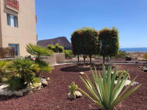 Phong cảnh thiên nhiên gần căn hộ