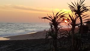 a sunset on the beach with palm trees at Sejuk Beach Villas in Canggu