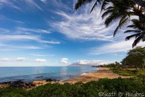 维雷亚South Maui 1 BR Guest Suite - Kamaole Beach Area的棕榈树和海洋的海滩