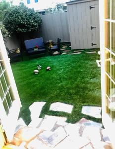 a backyard with green grass and a bench at Sunshine in San Francisco