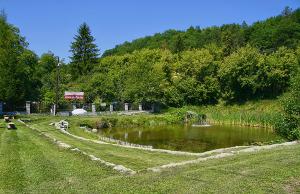 um lago no meio de um campo relvado em Fónagy Apartmanok em Nagyvisnyó