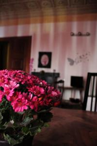 wazon różowych kwiatów siedzący na stole w obiekcie B&B Amarantha Gothica Genoa w Genui