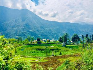 Lanskap alam di dekat homestay