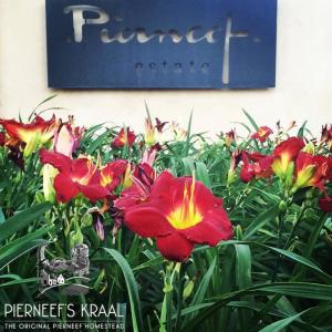 a sign with red flowers in front of a plant at Pierneef's Kraal in Pretoria