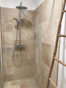 a shower with a shower head in a bathroom at La bulle de Gaston in Toulouse