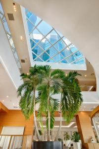 palma w holu z oknem dachowym w obiekcie Hotel Diamante w mieście Alessandria