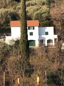 una casa blanca en una colina con un árbol en TAVERNETTA 109 TERRAZZA TRA LE 5 TERRE E PORTOFINO, en Deiva Marina