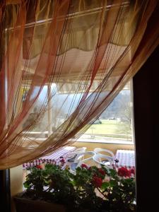 Zahrada ubytování B&B della Pace