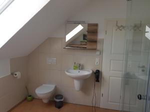 a bathroom with a sink and a toilet and a shower at Ferienwohnung Braun in Echlishausen